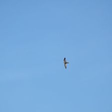 2015 12 12 10_40_12 Uhr.JPG