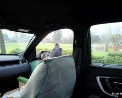 2020 01 11 13_47_14 Uhr_ Dirk_FUJI_XE2_1039.jpg