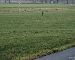 2020 01 11 13_03_04 Uhr_ Dirk_FUJI_XT30_1041.jpg