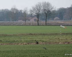 2020 01 11 13_03_06 Uhr_ Dirk_FUJI_XT30_1042 K.jpg