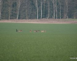 2020 01 11 12_22_00 Uhr_ Dirk_FUJI_XT30_1036.jpg