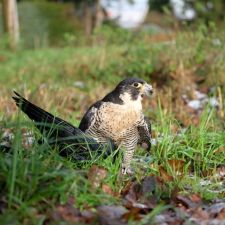 2017 12 09 12_03_39 Uhr_Fuji1023.JPG